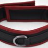 Padded leather collar with suede edging - Image 7