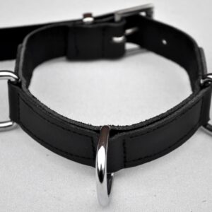 Narrow 3 D-ring collar