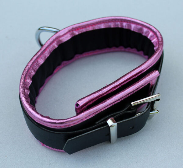 Black leather padded collar with pink leather trim - Image 2