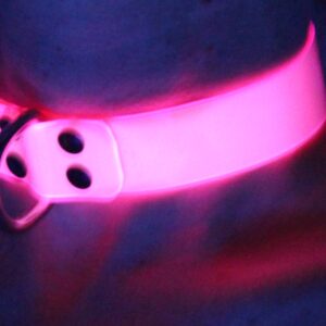 UV reactive collar