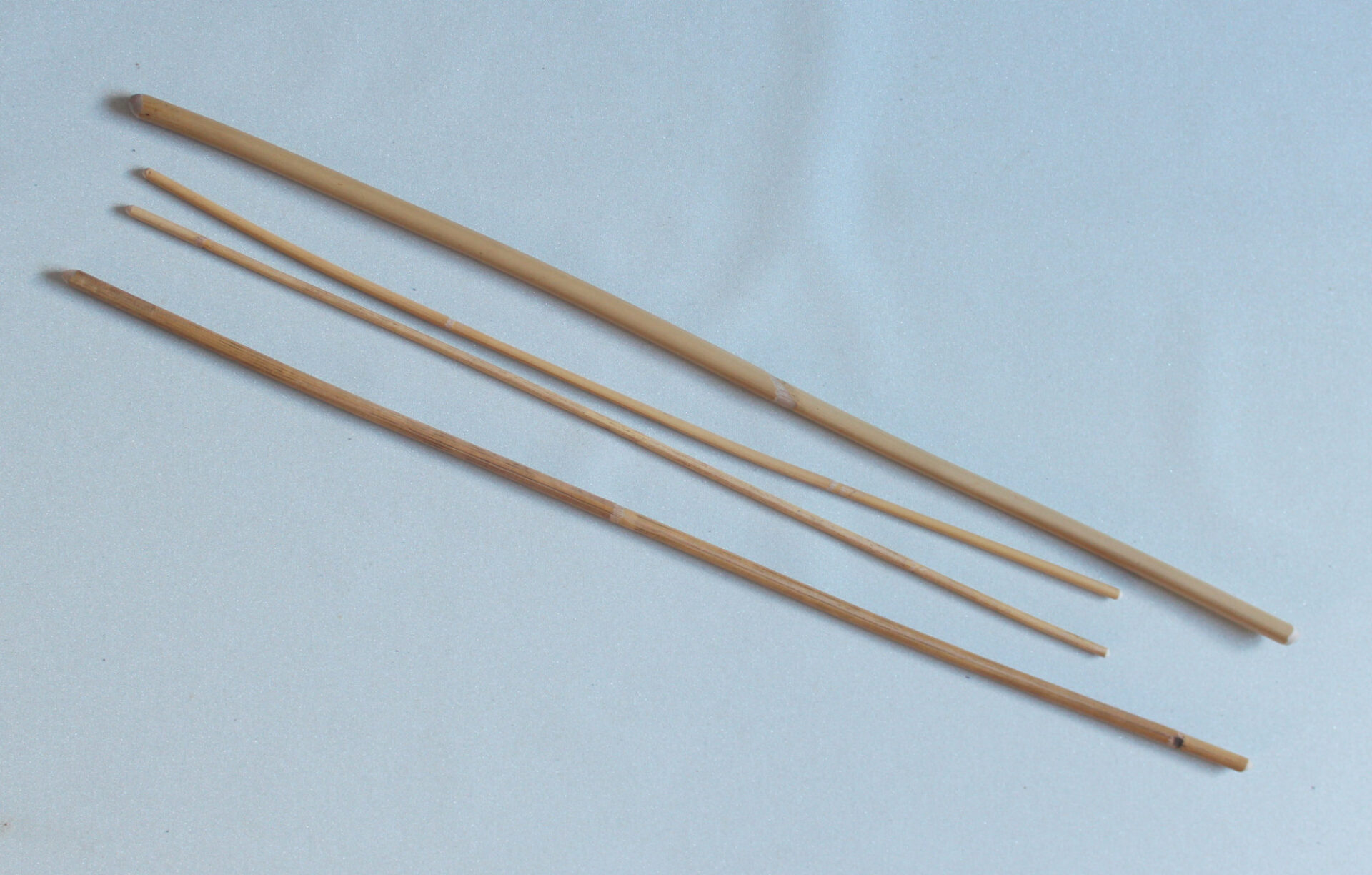 Beginners cane set