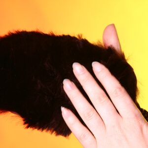 Fur hand mit