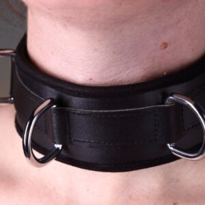Luxury padded collar with 3 D-Rings