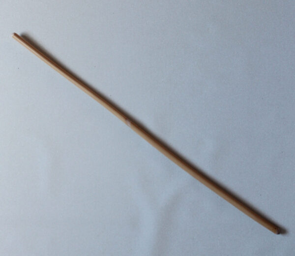 Senior dragon cane - Image 4