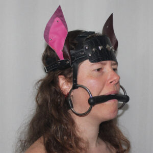 Pony play head harness