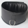 Heavy duty posture collar - Image 2