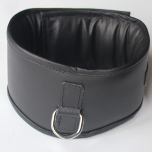 Heavy duty posture collar