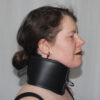 Heavy duty posture collar - Image 12