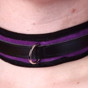Purple suede padded collar