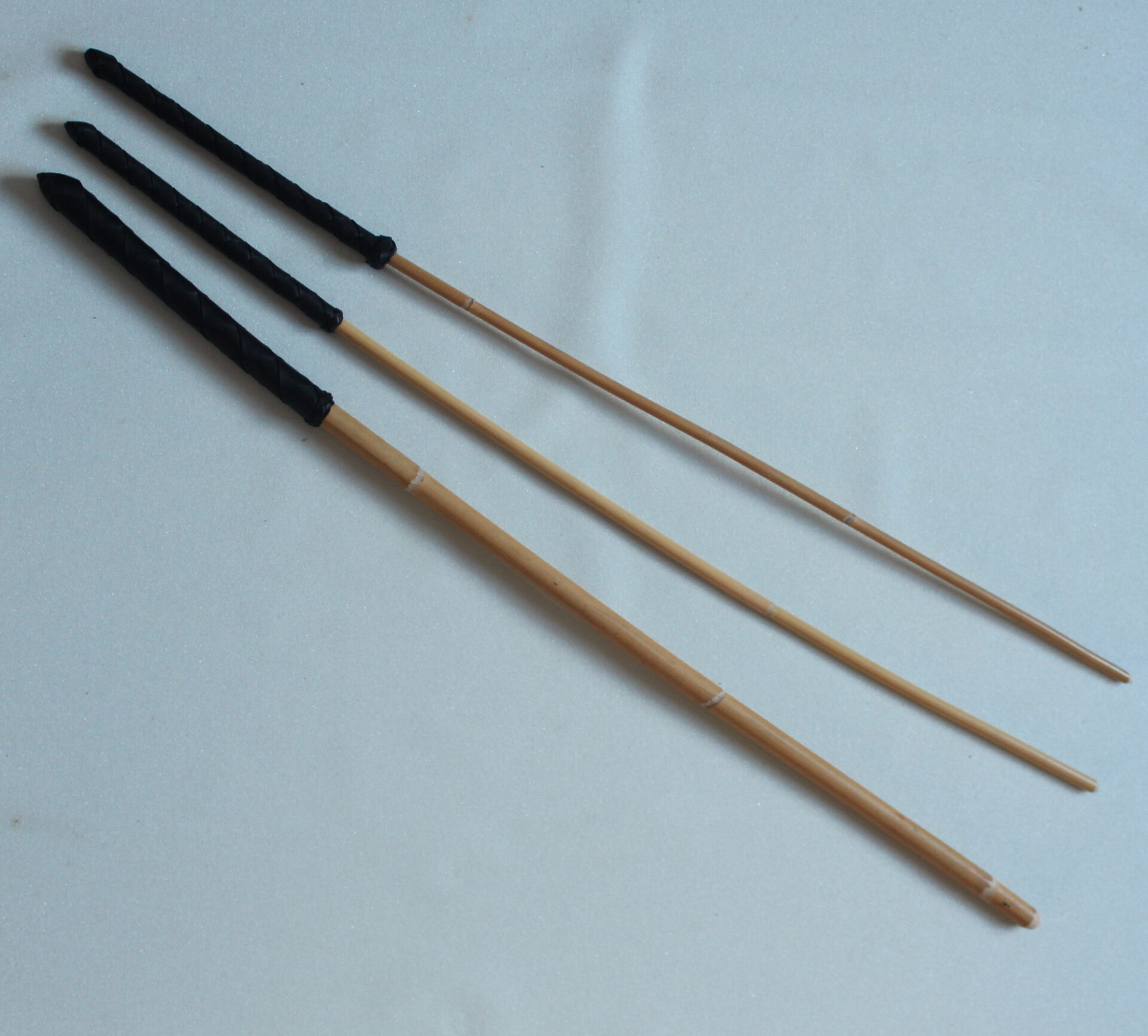 Rattan cane bdsm