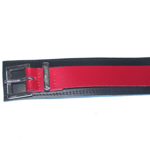 Padded leather collar