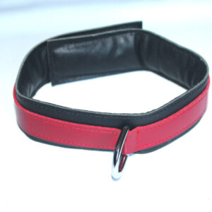 Padded leather collar