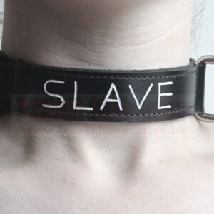 Slave collar