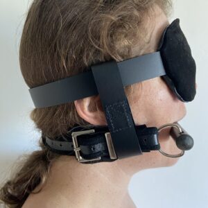 Head harness