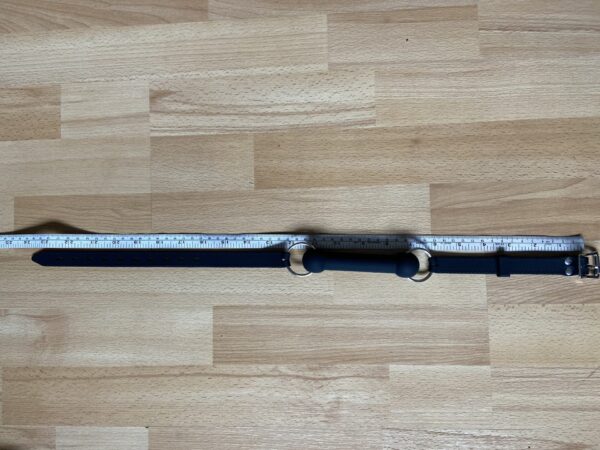 Silicone BDSM bit gag