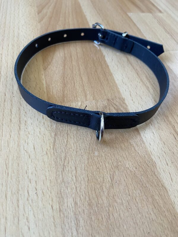 BDSM day collar