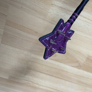 Spiky glittery purple star crop